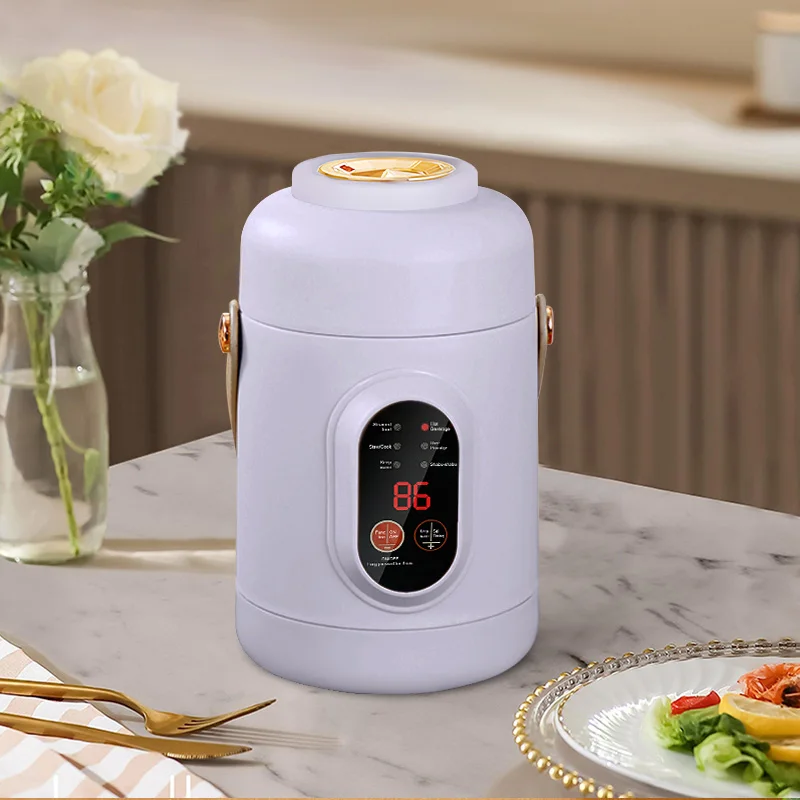 Nouveau cuiseur à riz multifonctionnel Portable petit bouilloire électrique de voyage